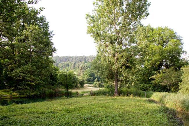 Gites La Forge De Sainte Marie Thonnance-les-Moulins エクステリア 写真
