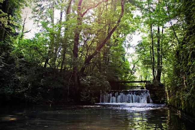 Gites La Forge De Sainte Marie Thonnance-les-Moulins エクステリア 写真
